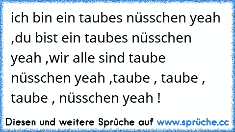 ich bin ein taubes nüsschen yeah ,
du bist ein taubes nüsschen yeah ,
wir alle sind taube nüsschen yeah ,
taube , taube , taube , nüsschen yeah !