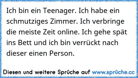 Ich bin ein Teenager. Ich habe ein schmutziges Zimmer. Ich verbringe die meiste Zeit online. Ich gehe spät ins Bett und ich bin verrückt nach dieser einen Person.