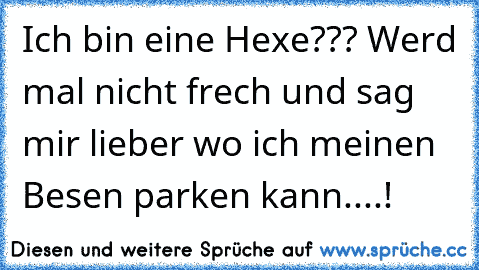 Ich bin eine Hexe??? Werd mal nicht frech und sag mir lieber wo ich meinen Besen parken kann....!