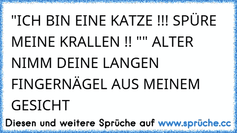 "ICH BIN EINE KATZE !!! SPÜRE MEINE KRALLEN !! "
" ALTER NIMM DEINE LANGEN FINGERNÄGEL AUS MEINEM GESICHT