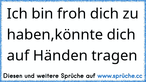 Ich bin froh dich zu haben,könnte dich auf Händen tragen 