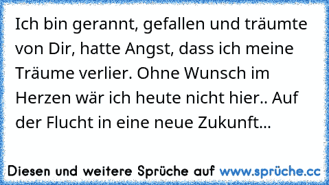 Ich bin gerannt, gefallen und träumte von Dir, hatte Angst, dass ich meine Träume verlier. Ohne Wunsch im Herzen wär ich heute nicht hier.. Auf der Flucht in eine neue Zukunft... ♥