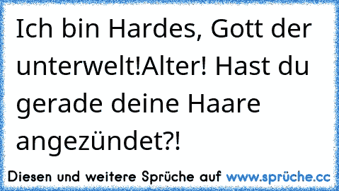 Ich bin Hardes, Gott der unterwelt!
Alter! Hast du gerade deine Haare angezündet?!