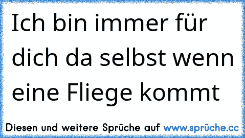 Ich bin immer für dich da selbst wenn eine Fliege kommt