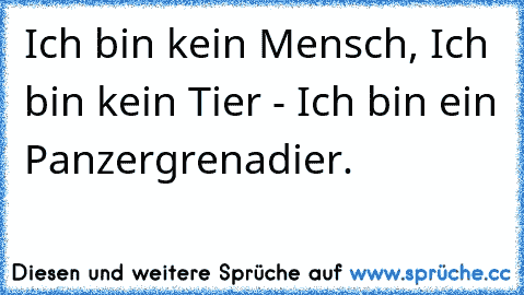 Ich bin kein Mensch, Ich bin kein Tier - Ich bin ein Panzergrenadier.