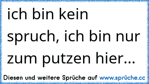 ich bin kein spruch, ich bin nur zum putzen hier...