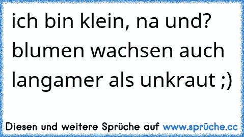 ich bin klein, na und? blumen wachsen auch langamer als unkraut ;)