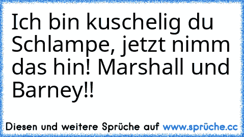 Ich bin kuschelig du Schlampe, jetzt nimm das hin! Marshall und Barney!! ♥