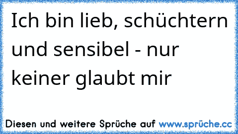 Ich bin lieb, schüchtern und sensibel - nur keiner glaubt mir