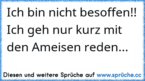 Ich bin nicht besoffen!! Ich geh nur kurz mit den Ameisen reden...