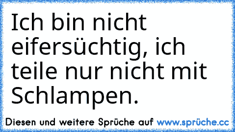 Ich bin nicht eifersüchtig, ich teile nur nicht mit Schlampen.