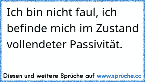 Ich bin nicht faul, ich befinde mich im Zustand vollendeter Passivität.