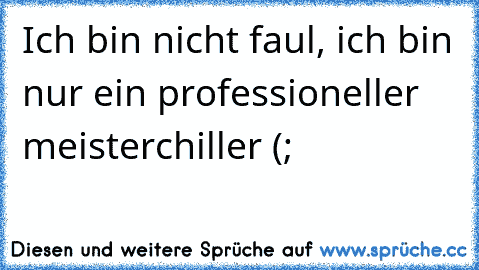 Ich bin nicht faul, ich bin nur ein professioneller meisterchiller (;