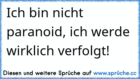 Ich bin nicht paranoid, ich werde wirklich verfolgt!