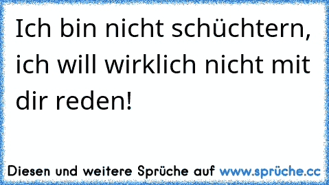 Ich bin nicht schüchtern, ich will wirklich nicht mit dir reden!