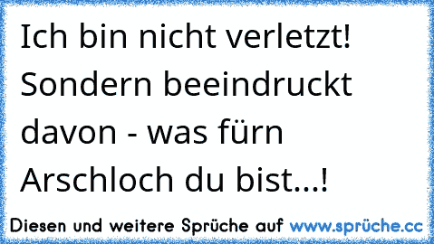 Ich bin nicht verletzt! Sondern beeindruckt davon - was für´n Arschloch du bist...!