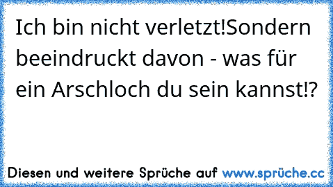 Ich bin nicht verletzt!
Sondern beeindruckt davon - was für ein Arschloch du sein kannst!?