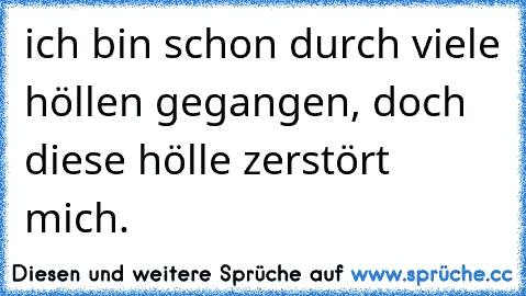 ich bin schon durch viele höllen gegangen, doch diese hölle zerstört mich.