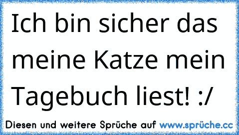 Ich bin sicher das meine Katze mein Tagebuch liest! :/