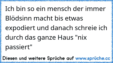 Ich bin so ein mensch der immer Blödsinn macht bis etwas expodiert und danach schreie ich durch das ganze Haus "nix passiert"