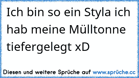 Ich bin so ein Styla ich hab meine Mülltonne tiefergelegt xD