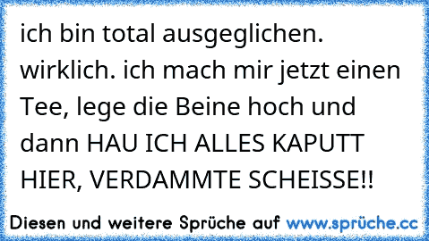 ich bin total ausgeglichen. wirklich. ich mach mir jetzt einen Tee, lege die Beine hoch und dann HAU ICH ALLES KAPUTT HIER, VERDAMMTE SCHEISSE!!