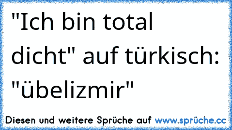 "Ich bin total dicht" auf türkisch: "übelizmir"