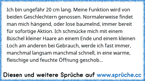 Ich bin ungefähr 20 cm lang. Meine Funktion wird von beiden Geschlechtern genossen. Normalerweise findet man mich hängend, oder lose baumelnd, immer bereit für sofortige Aktion. Ich schmücke mich mit einem Büschel kleiner Haare an einem Ende und einem kleinen Loch am anderen bei Gebrauch, werde ich fast immer, manchmal langsam manchmal schnell, in eine warme, fleischige und feuchte Öffnung gesc...