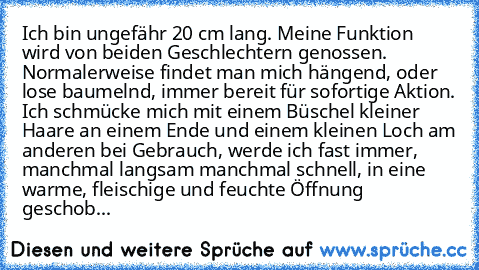 Ich bin ungefähr 20 cm lang. Meine Funktion wird von beiden Geschlechtern genossen. Normalerweise findet man mich hängend, oder lose baumelnd, immer bereit für sofortige Aktion. Ich schmücke mich mit einem Büschel kleiner Haare an einem Ende und einem kleinen Loch am anderen bei Gebrauch, werde ich fast immer, manchmal langsam manchmal schnell, in eine warme, fleischige und feuchte Öffnung gesc...