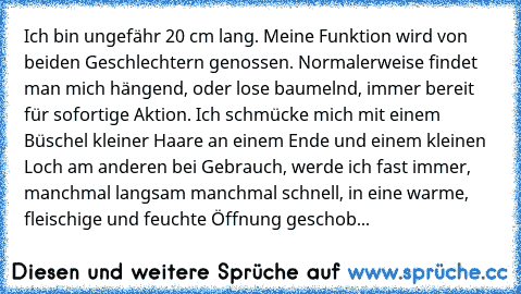 Ich bin ungefähr 20 cm lang. Meine Funktion wird von beiden Geschlechtern genossen. Normalerweise findet man mich hängend, oder lose baumelnd, immer bereit für sofortige Aktion. Ich schmücke mich mit einem Büschel kleiner Haare an einem Ende und einem kleinen Loch am anderen bei Gebrauch, werde ich fast immer, manchmal langsam manchmal schnell, in eine warme, fleischige und feuchte Öffnung gesc...