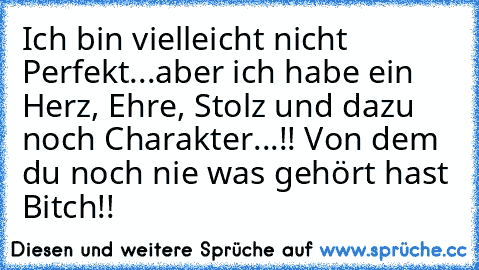 Ich bin vielleicht nicht Perfekt...aber ich habe ein Herz, Ehre, Stolz und dazu noch Charakter...!! Von dem du noch nie was gehört hast Bitch!!♥