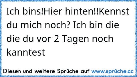 Ich bins!Hier hinten!!Kennst du mich noch? Ich bin die die du vor 2 Tagen noch kanntest