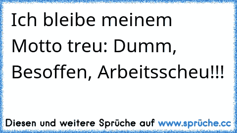 Ich bleibe meinem Motto treu: Dumm, Besoffen, Arbeitsscheu!!!