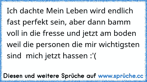 Ich dachte Mein Leben wird endlich fast perfekt sein, aber dann bamm voll in die fresse und jetzt am boden weil die personen die mir wichtigsten sind  mich jetzt hassen :'(