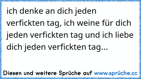 ich denke an dich jeden verfickten tag, ich weine für dich jeden verfickten tag und ich liebe dich jeden verfickten tag...