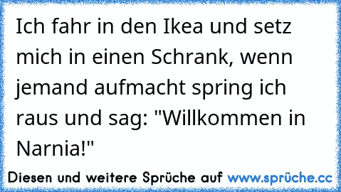 Ich fahr in den Ikea und setz mich in einen Schrank, wenn jemand aufmacht spring ich raus und sag: "Willkommen in Narnia!"