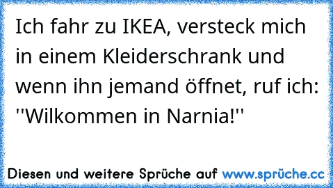 Ich fahr zu IKEA, versteck mich in einem Kleiderschrank und wenn ihn jemand öffnet, ruf ich: ''Wilkommen in Narnia!''