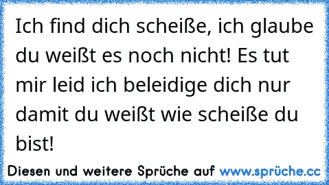 Ich find dich scheiße, ich glaube du weißt es noch nicht! Es tut mir leid ich beleidige dich nur damit du weißt wie scheiße du bist!