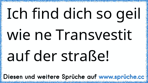 Ich find dich so geil wie ne Transvestit auf der straße!