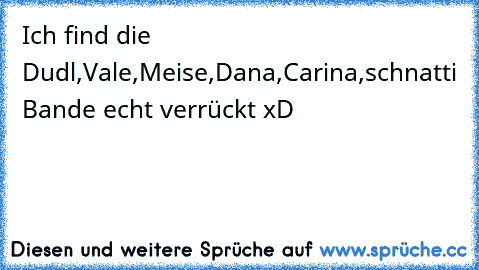 Ich find die Dudl,Vale,Meise,Dana,Carina,schnatti Bande echt verrückt xD ♥