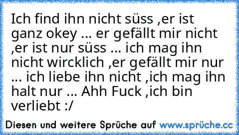 Ich find ihn nicht süss ,er ist ganz okey ... er gefällt mir nicht ,er ist nur süss ... ich mag ihn nicht wircklich ,er gefällt mir nur ... ich liebe ihn nicht ,ich mag ihn halt nur ... Ahh Fuck ,ich bin verliebt :/