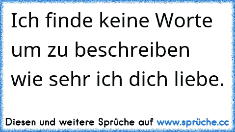 Ich finde keine Worte um zu beschreiben wie sehr ich dich liebe.