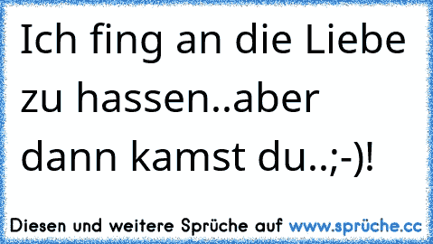 Ich fing an die Liebe zu hassen..aber dann kamst du..;-)♥!