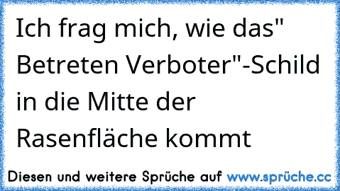 Ich frag mich, wie das" Betreten Verboter"-Schild in die Mitte der Rasenfläche kommt