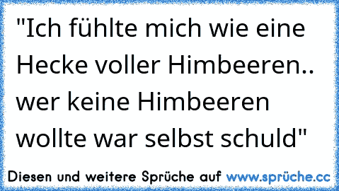 "Ich fühlte mich wie eine Hecke voller Himbeeren.. wer keine Himbeeren wollte war selbst schuld"