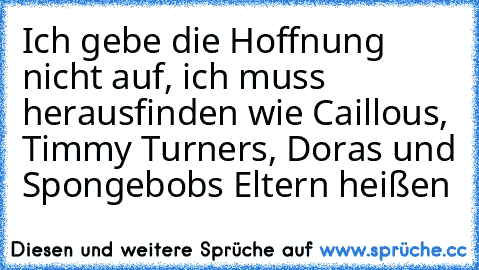 Ich gebe die Hoffnung nicht auf, ich muss herausfinden wie Caillous, Timmy Turners, Doras und Spongebobs Eltern heißen