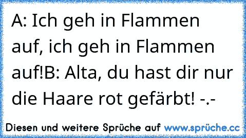 A: Ich geh in Flammen auf, ich geh in Flammen auf!
B: Alta, du hast dir nur die Haare rot gefärbt! -.-