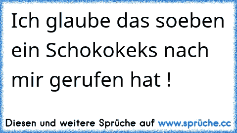 Ich glaube das soeben ein Schokokeks nach mir gerufen hat !