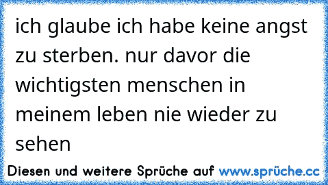 ich glaube ich habe keine angst zu sterben. nur davor die wichtigsten menschen in meinem leben nie wieder zu sehen ♥