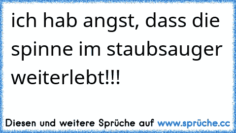 ich hab angst, dass die spinne im staubsauger weiterlebt!!!